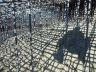 DSCN1252.JPG